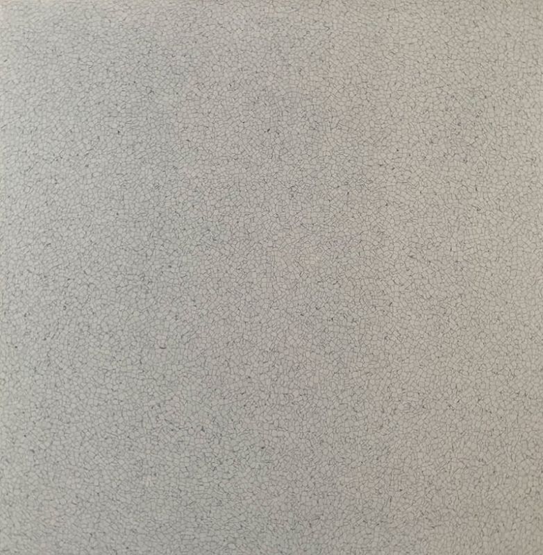 806A